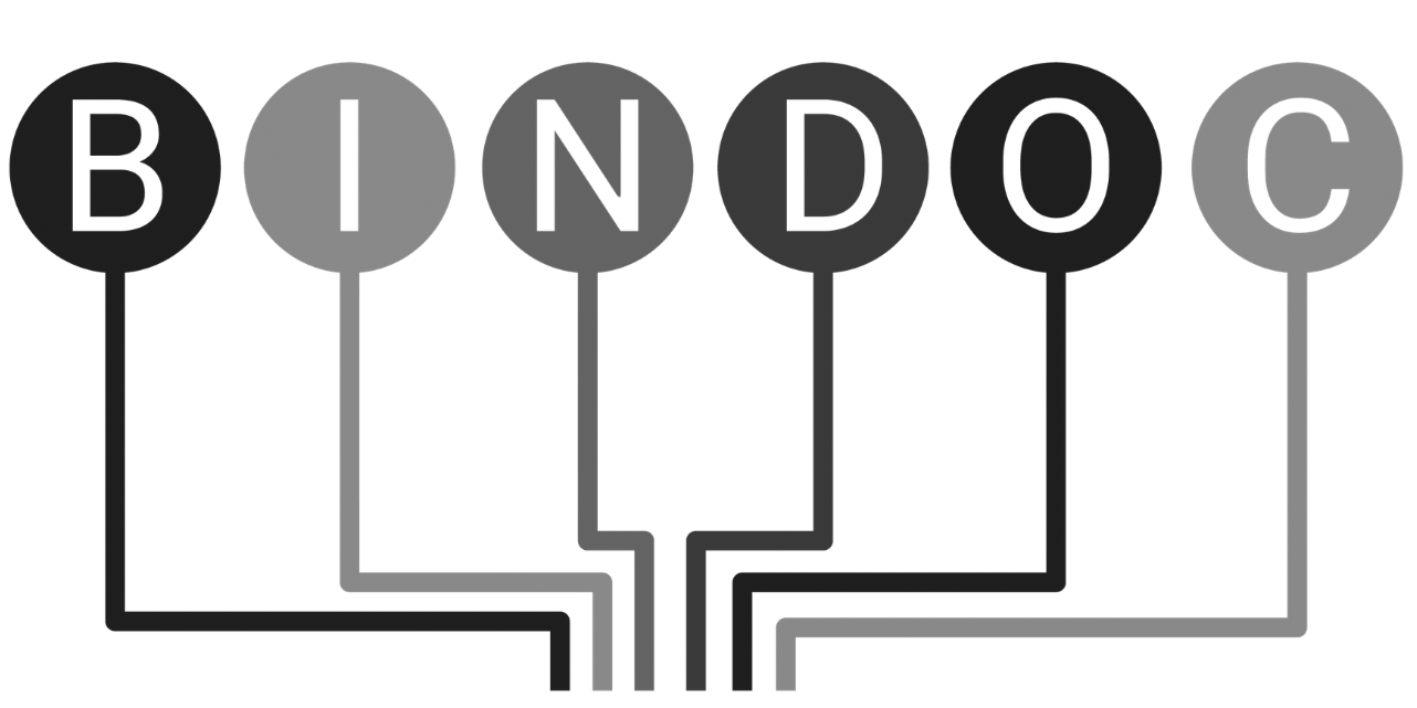 Logo BinDoc GmbH